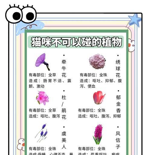 家里适合养哪些植物？它们的养护要点是什么？