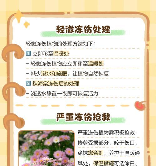 植物蔫了怎么恢复？植物叶子发蔫的原因是什么？