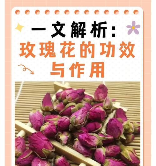 小玖瑰花的养护技巧有哪些？