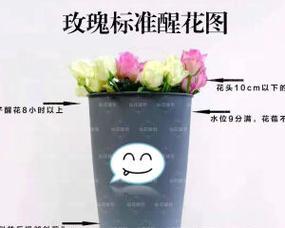 小玖瑰花的养护技巧有哪些？