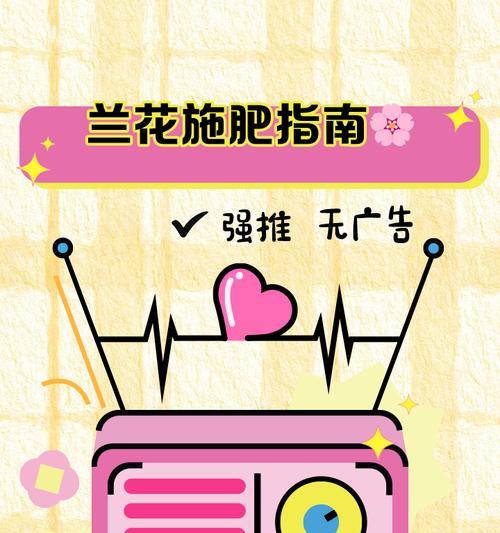 兰花的施肥技巧和推荐肥料是什么？