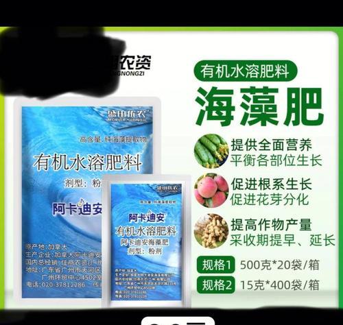 兰花的施肥技巧和推荐肥料是什么？