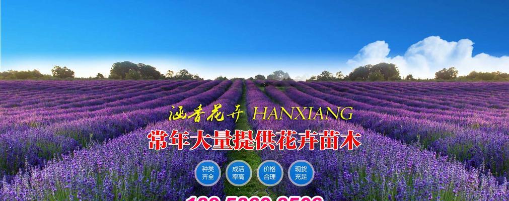 花卉经营范围如何确定？有哪些注意事项？