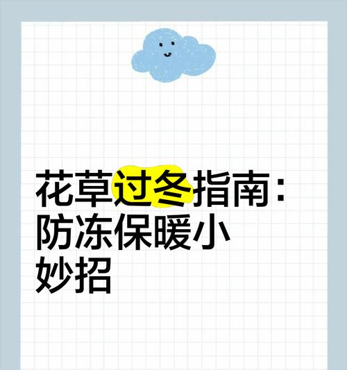 花卉冬季养护需要注意什么？如何帮助花卉安全过冬？