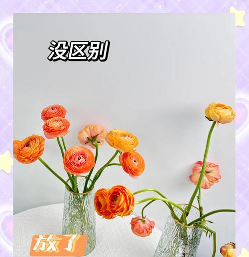鲜切花的养护技巧有哪些？如何延长鲜切花的寿命？