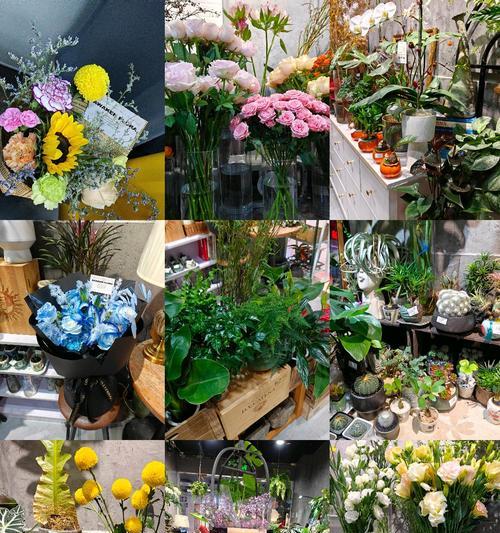 鲜花品种大全有哪些？如何选择适合的鲜花品种？