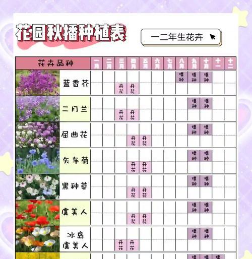 野花种子播种技巧是什么？