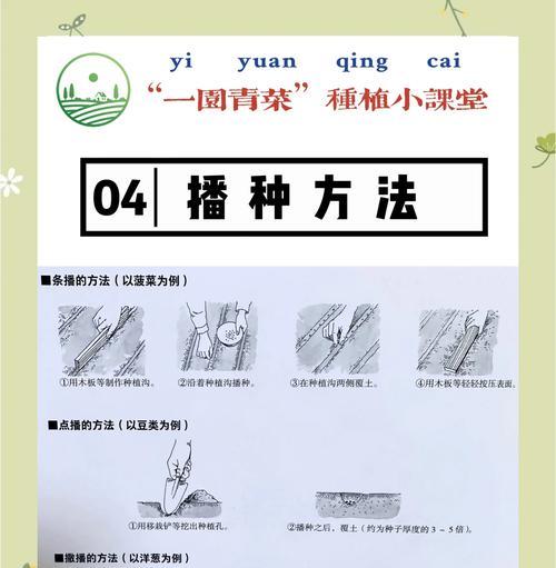 野花种子播种技巧是什么？