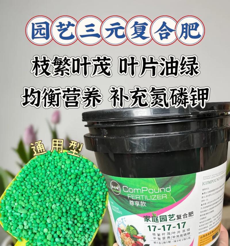 三角梅失什么肥？如何正确施肥促进三角梅生长？