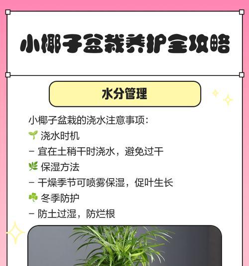 小椰子树的养殖方法和注意事项？