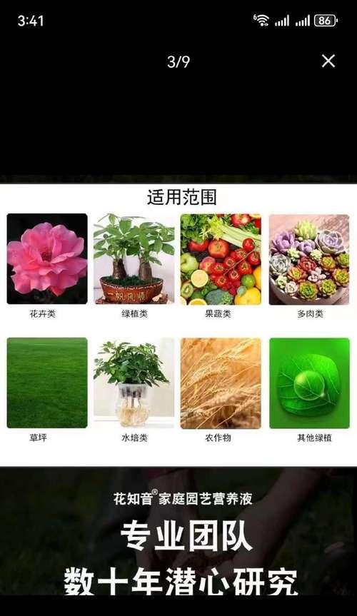 绿萝施肥有什么讲究？适合绿萝的肥料有哪些？
