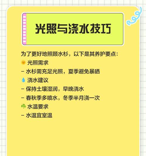 盆栽水杉的养护要点是什么？怎样才能养好？