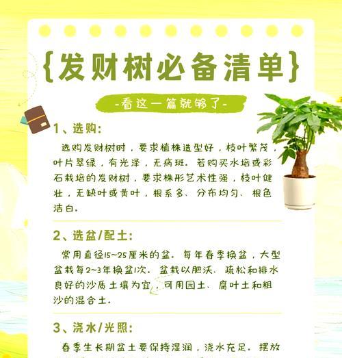发财树冬季如何养护？怎样避免冻害？