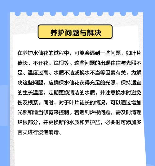 水仙花养殖需要注意哪些事项？