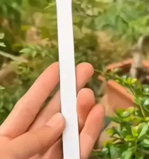 大型盆栽松土的正确步骤是什么？