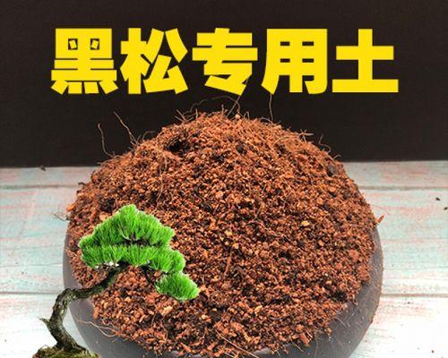 大型盆栽松土的正确步骤是什么？