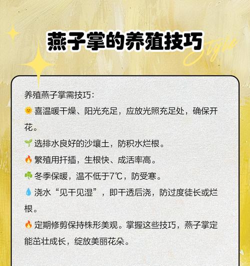 燕子掌养殖方法是什么？如何确保其健康生长？