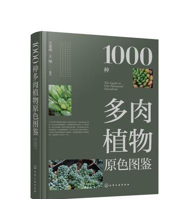 巨型多浆植物有哪些品种？它们的养护和特点是什么？