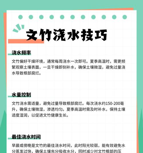 文竹的日常养护和管理技巧？
