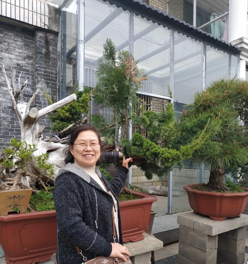 如何正确识别和欣赏花木？