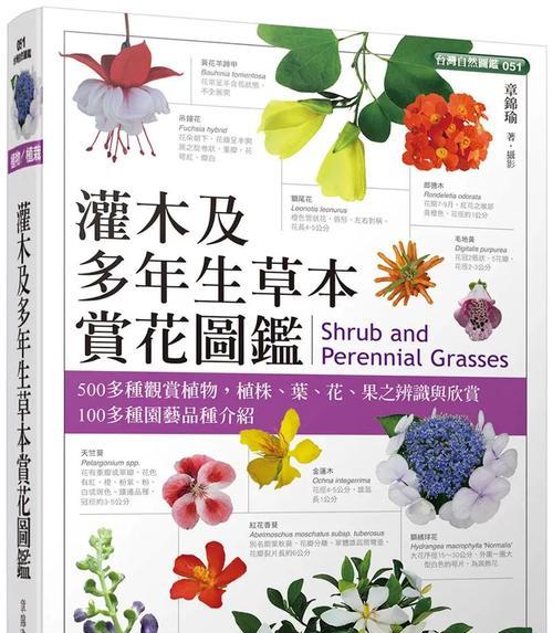 如何正确识别和欣赏花木？
