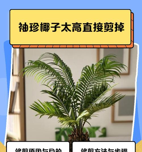 袖珍椰子发黄怎么办？如何进行有效的处理？