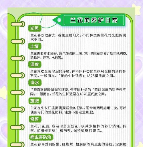 兰花多开花的秘诀是什么？如何进行日常管理？