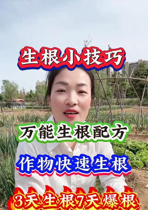 促进植物快速生根的技巧有哪些？