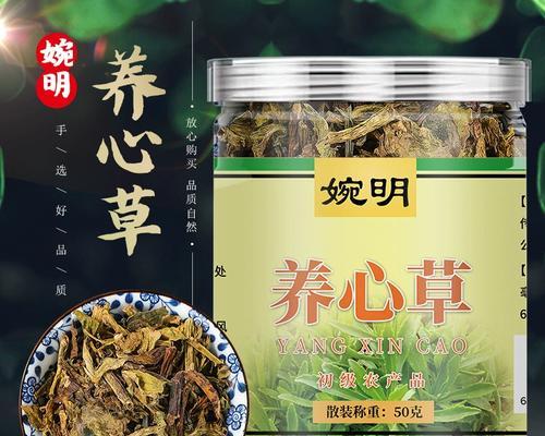 三七草的养殖方法和常见问题是什么？