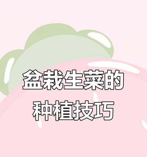 秋生菜怎么种植？秋生菜的种植方法有哪些常见问题？