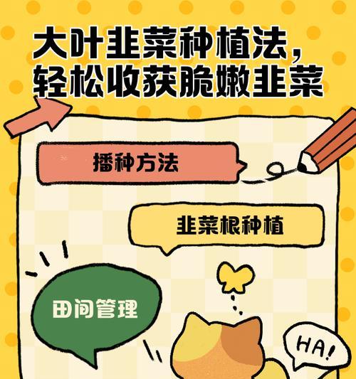 韭菜种植方法有哪些？如何正确种植韭菜？