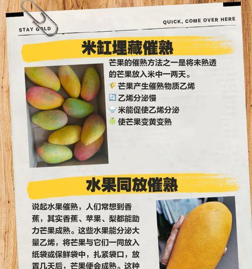 芒果核催芽方法是什么？步骤和注意事项有哪些？