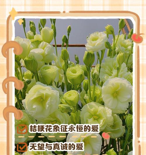 104朵花代表什么含义？花语背后隐藏的深层意义是什么？