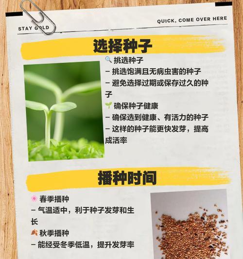 月季头种植方法是什么？如何正确进行月季头的种植？