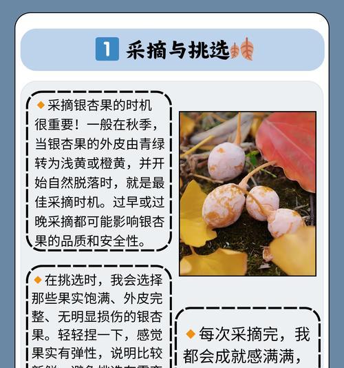 不成熟杏怎么种植方法？有哪些步骤和注意事项？