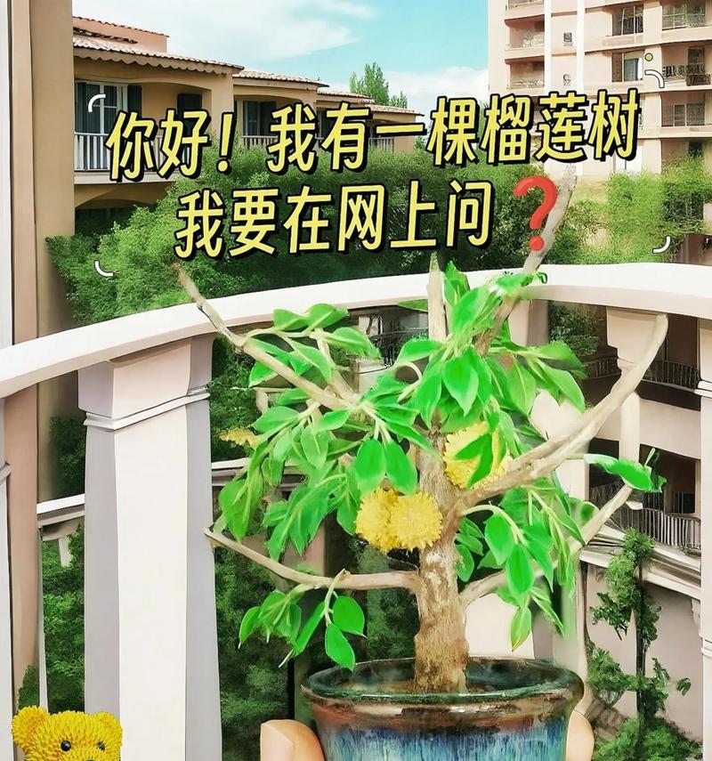榴莲种子催芽最快的方法是什么？需要多长时间才能发芽？