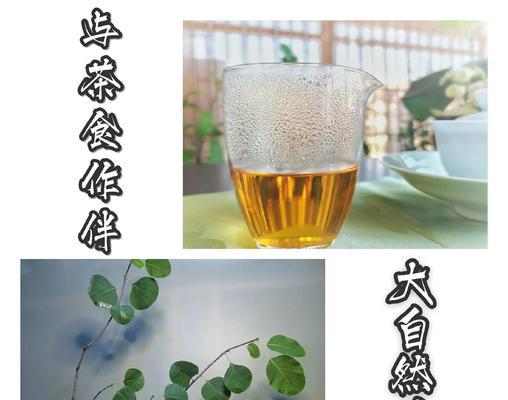 松档子修剪枝条的方法是什么？修剪时应注意哪些问题？