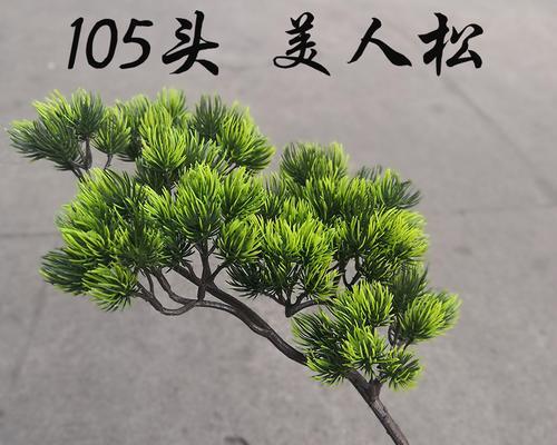 松档子修剪枝条的方法是什么？修剪时应注意哪些问题？