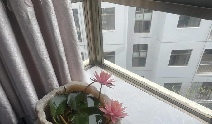 美好圣洁的花语是什么？如何挑选代表纯洁的花卉？