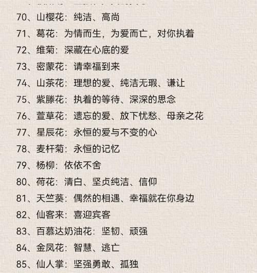 什么花代表友谊的花语？友谊花语有哪些？
