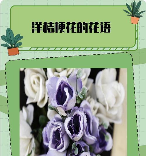桔梗花象征着什么？桔梗花的寓意有哪些？