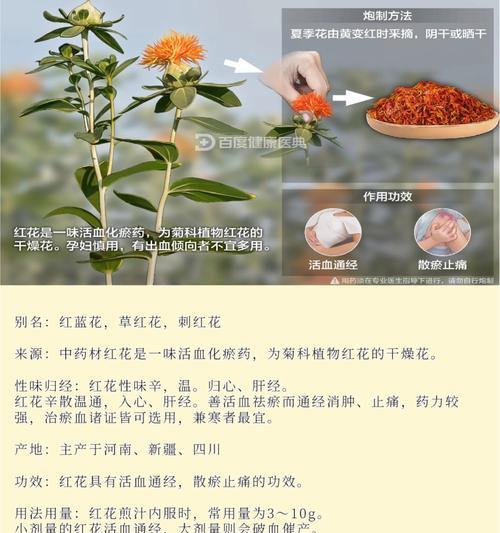 红蓝相间的花代表什么？花语中隐藏的含义是什么？