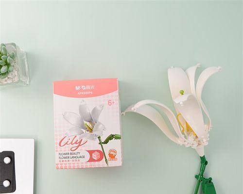 野菊花代表什么含义？花语中隐藏着哪些秘密？
