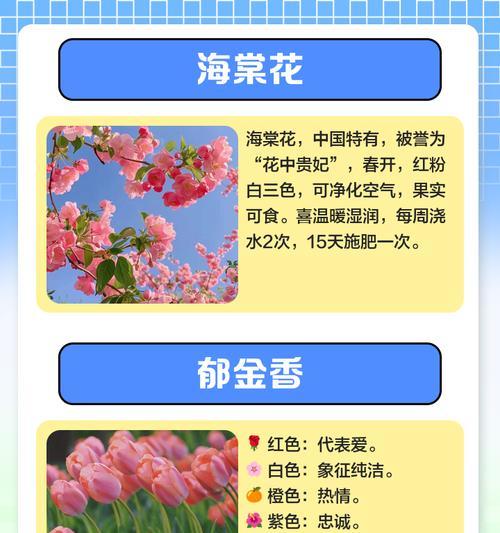 红粉玉兰的花语是什么？如何用它表达爱意？