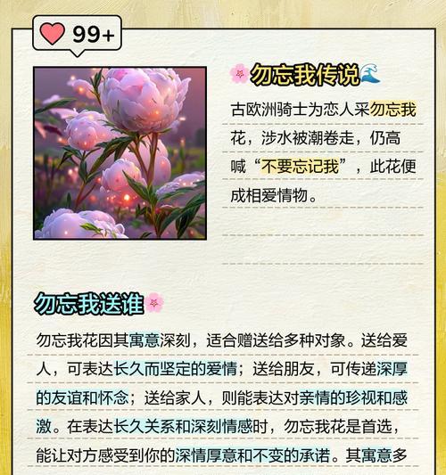 勿忘我花象征着什么？它的寓意有哪些含义？