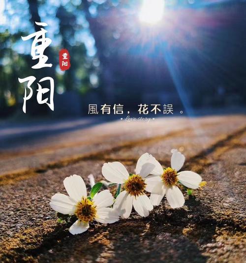 盎然花语什么意思啊？如何理解花语的深层含义？