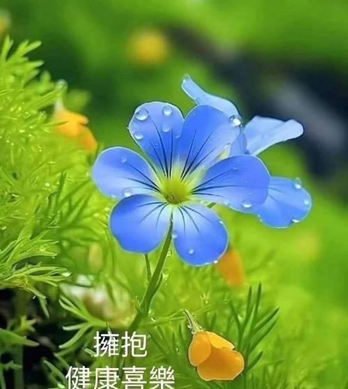 盎然花语什么意思啊？如何理解花语的深层含义？
