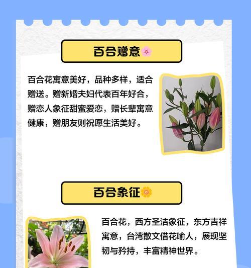 白百合花的花语是什么？如何用它表达爱意？