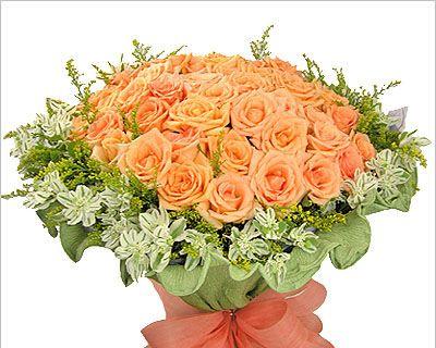 卷边菊的花语是什么？卷边菊代表了哪些含义？