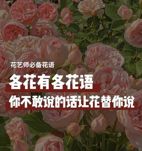 浪漫的欧洲花语是什么？各种花卉在欧洲文化中的含义是什么？